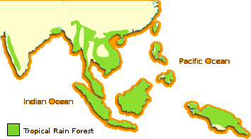 Asian Rainforest Map 112