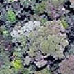 Aerial view of jungle close to tower
