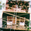 Jungle tower image