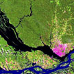 Landsat of the city of Manaus