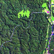 Close-up of Landsat image of Manaus