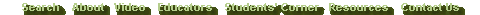 bottom navigation