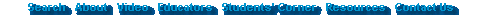 bottom navigation