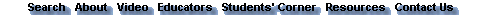 bottom navigation