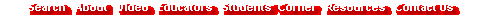 bottom navigation