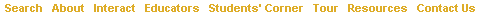 bottom navigation