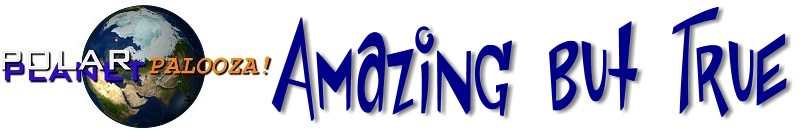 Amazing Facts Banner